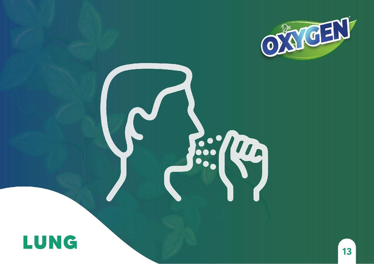 Lung